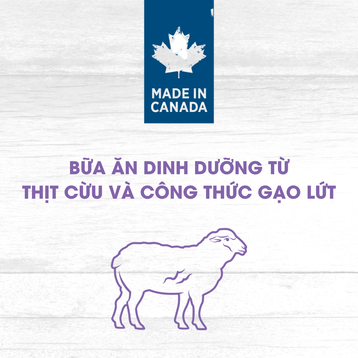  NT Original cho Chó kích thước vừa và lớn (Trên 10kg) - Thịt cừu và rau củ quả tự nhiên 