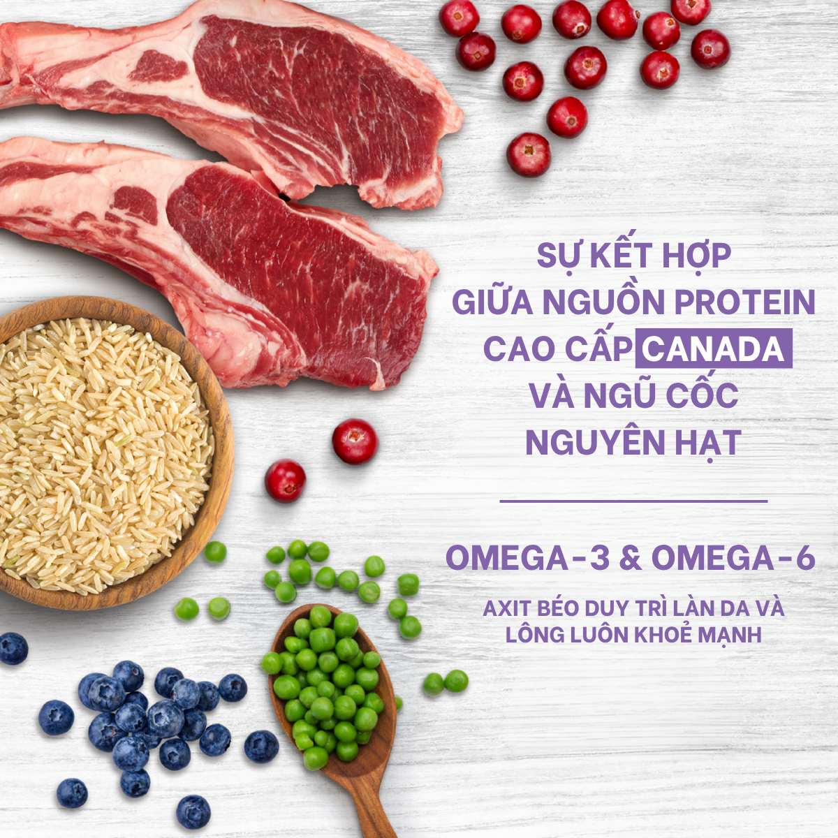  NT Original cho Chó kích thước vừa và lớn (Trên 10kg) - Thịt cừu và rau củ quả tự nhiên 