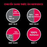  NT Subzero cho Chó (Hạt nhỏ) - Thịt bò, thịt cừu, lợn rừng, cá hồi, cá tuyết và rau củ quả tự nhiên (Cho mọi giống chó ở mọi lứa tuổi) 