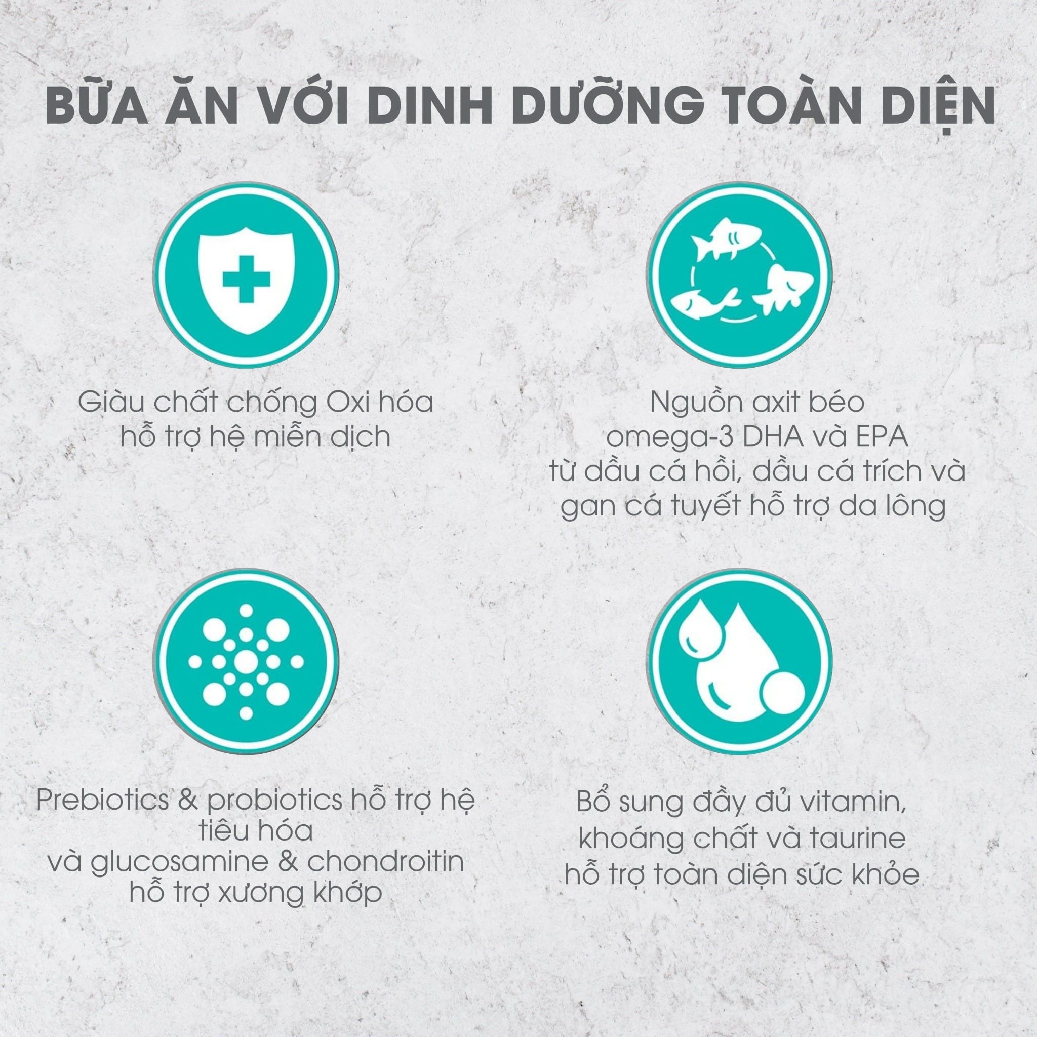  NT Infusion cho Mèo trưởng thành - Thịt gà và rau củ quả tự nhiên 