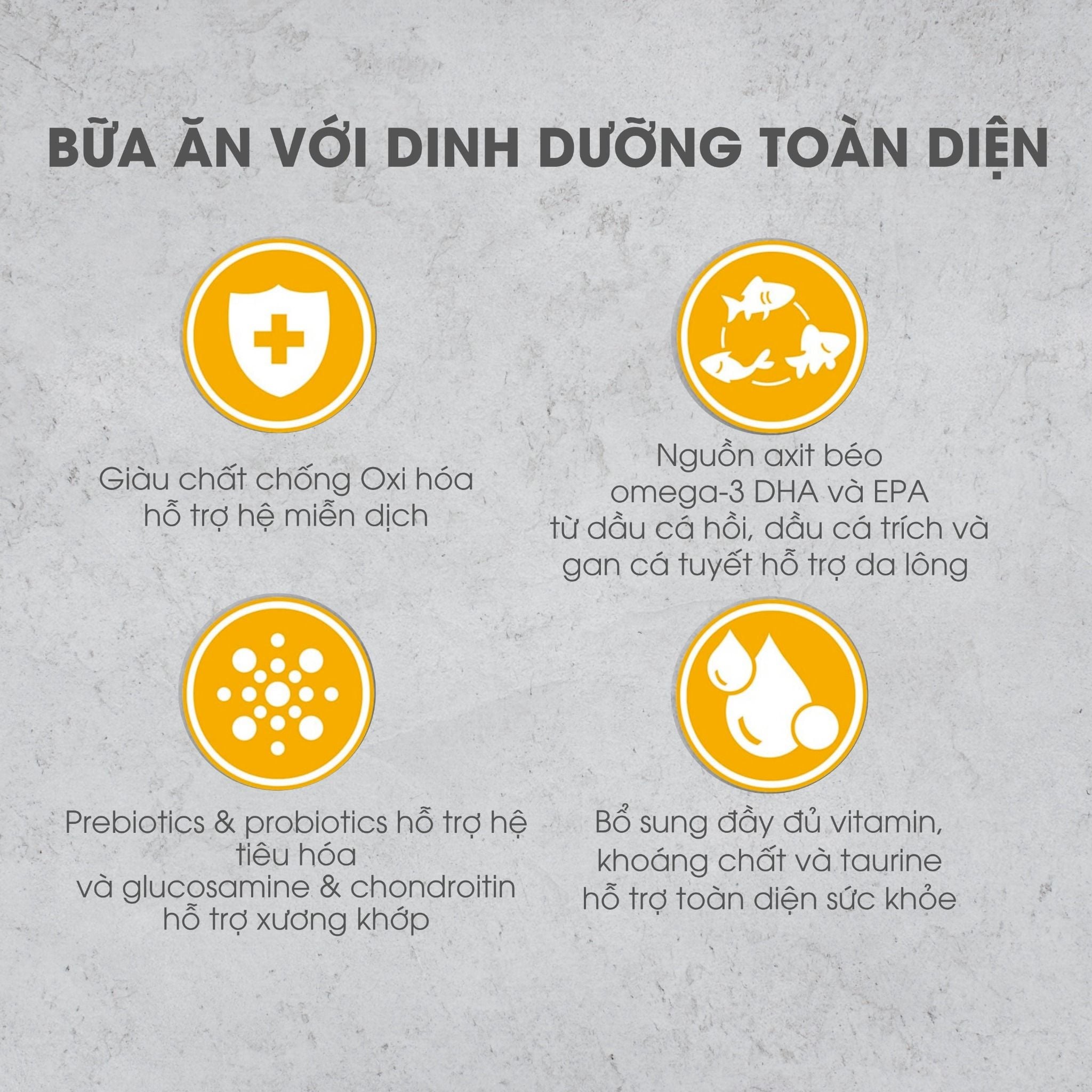  NT Infusion cho Chó kích thước vừa và lớn trưởng thành (Trên 10kg) - Thịt gà và rau củ quả tự nhiên 