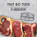  NT Infusion cho Chó kích thước vừa và lớn trưởng thành (Trên 10kg) - Thịt bò và rau củ quả tự nhiên 