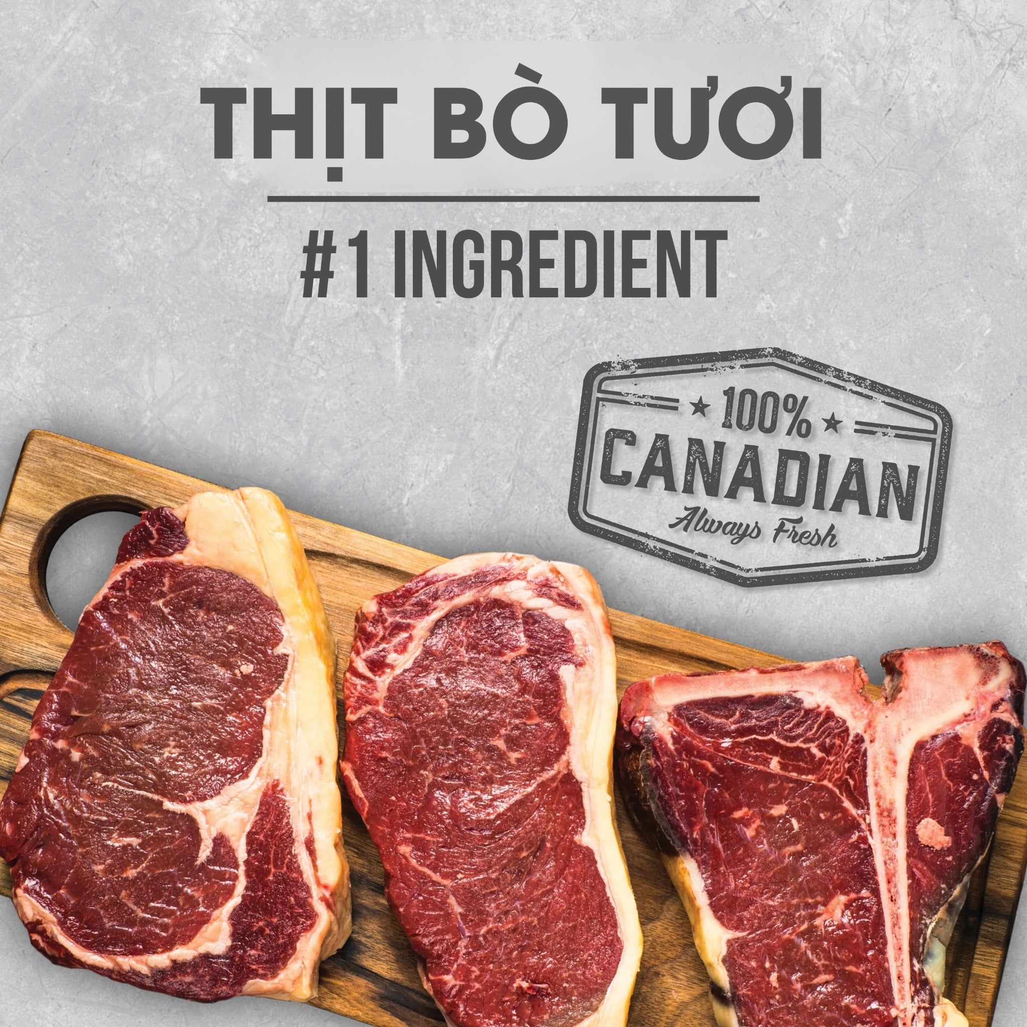  NT Infusion cho Chó kích thước vừa và lớn trưởng thành (Trên 10kg) - Thịt bò và rau củ quả tự nhiên 