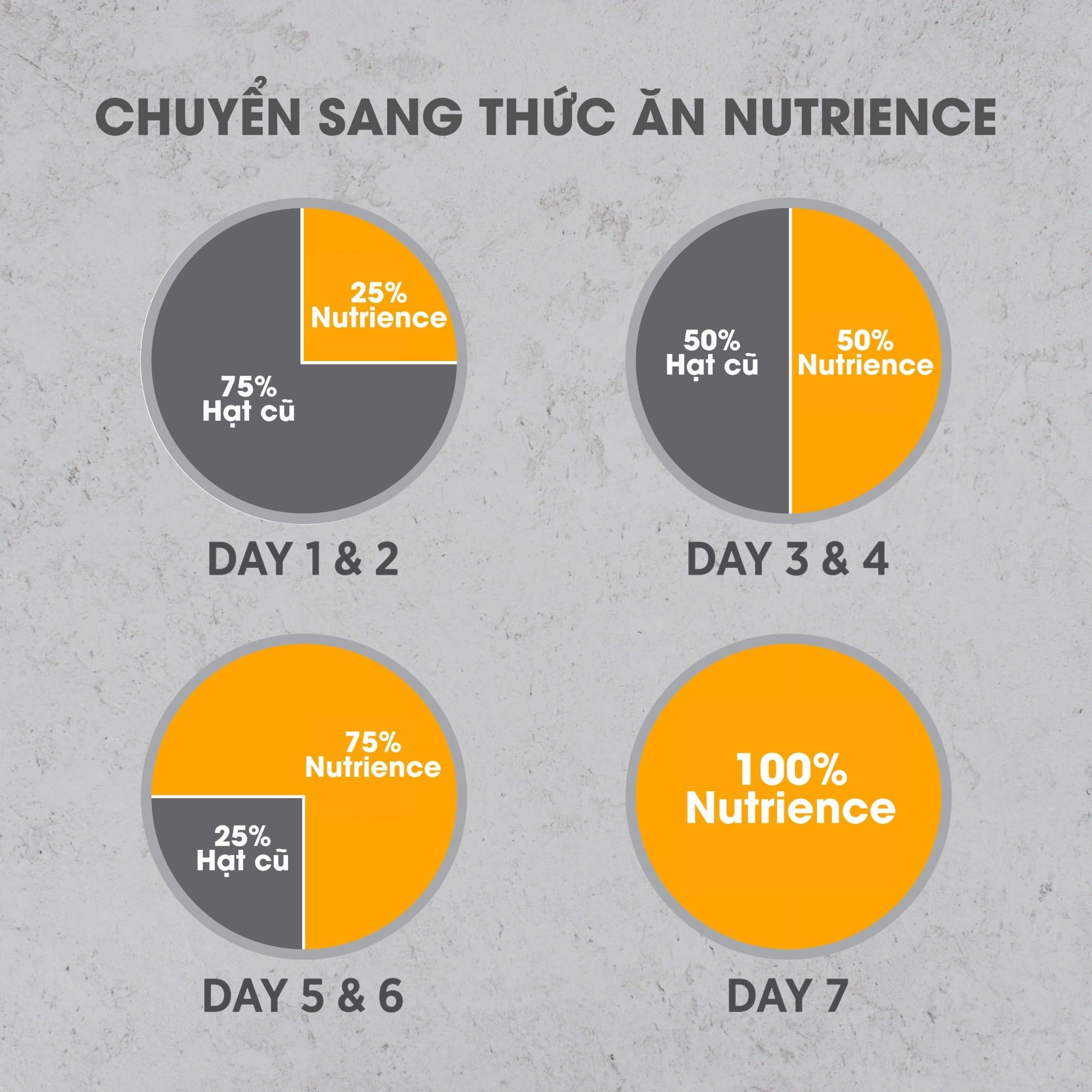  NT Infusion cho Chó kích thước vừa và lớn trưởng thành (Trên 10kg) - Thịt gà và rau củ quả tự nhiên 