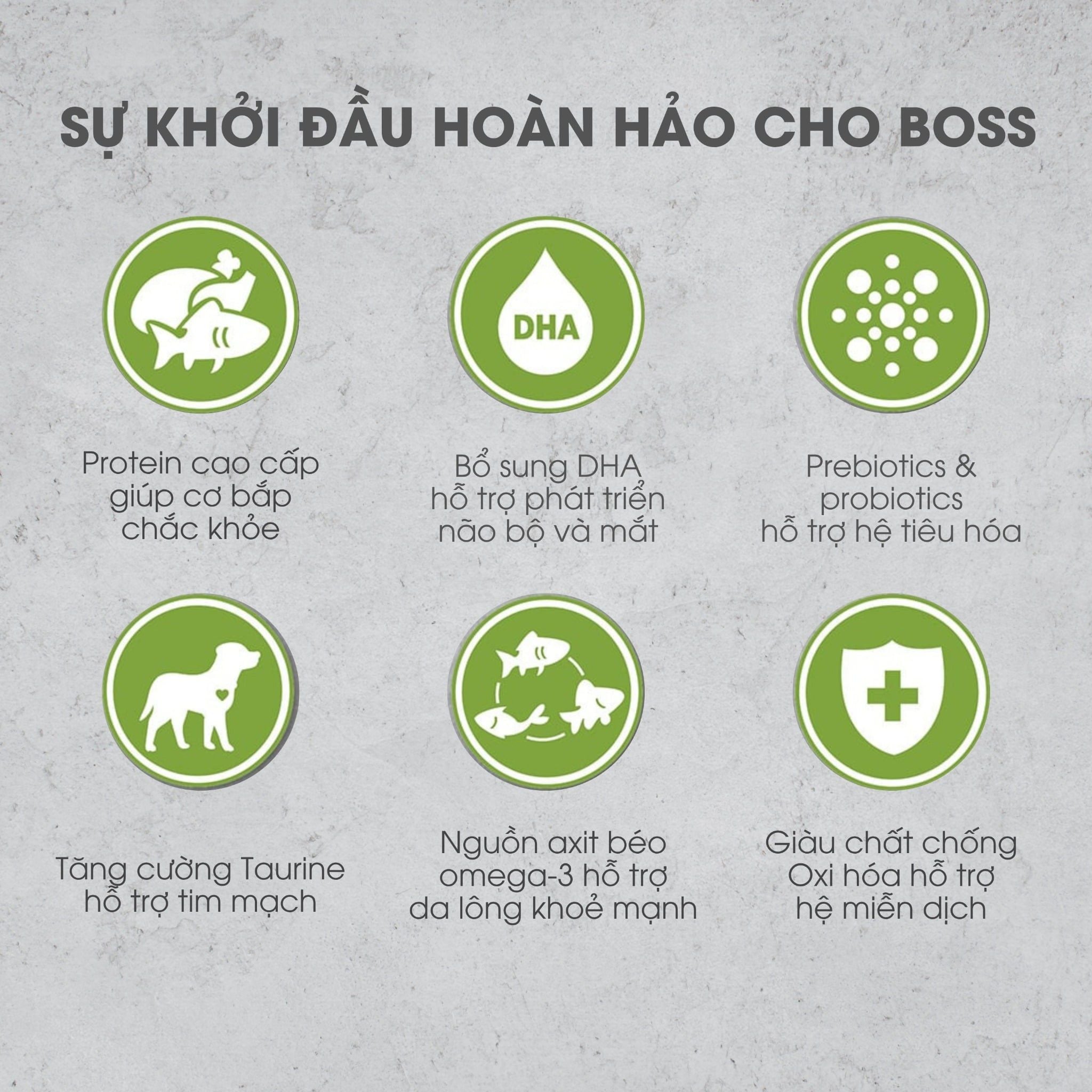  NT Infusion cho Chó con - Thịt gà và rau củ quả tự nhiên (Dưới 12 tháng tuổi) 