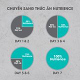  NT Infusion cho Mèo trưởng thành - Thịt gà và rau củ quả tự nhiên 