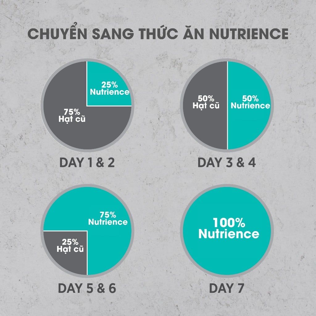  NT Infusion cho Mèo trưởng thành - Thịt gà và rau củ quả tự nhiên 