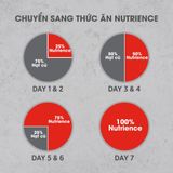  NT Infusion cho Chó kích thước vừa và lớn trưởng thành (Trên 10kg) - Thịt bò và rau củ quả tự nhiên 