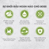  NT Infusion cho Mèo con - Thịt gà và rau củ quả tự nhiên (Dưới 12 tháng tuổi) 