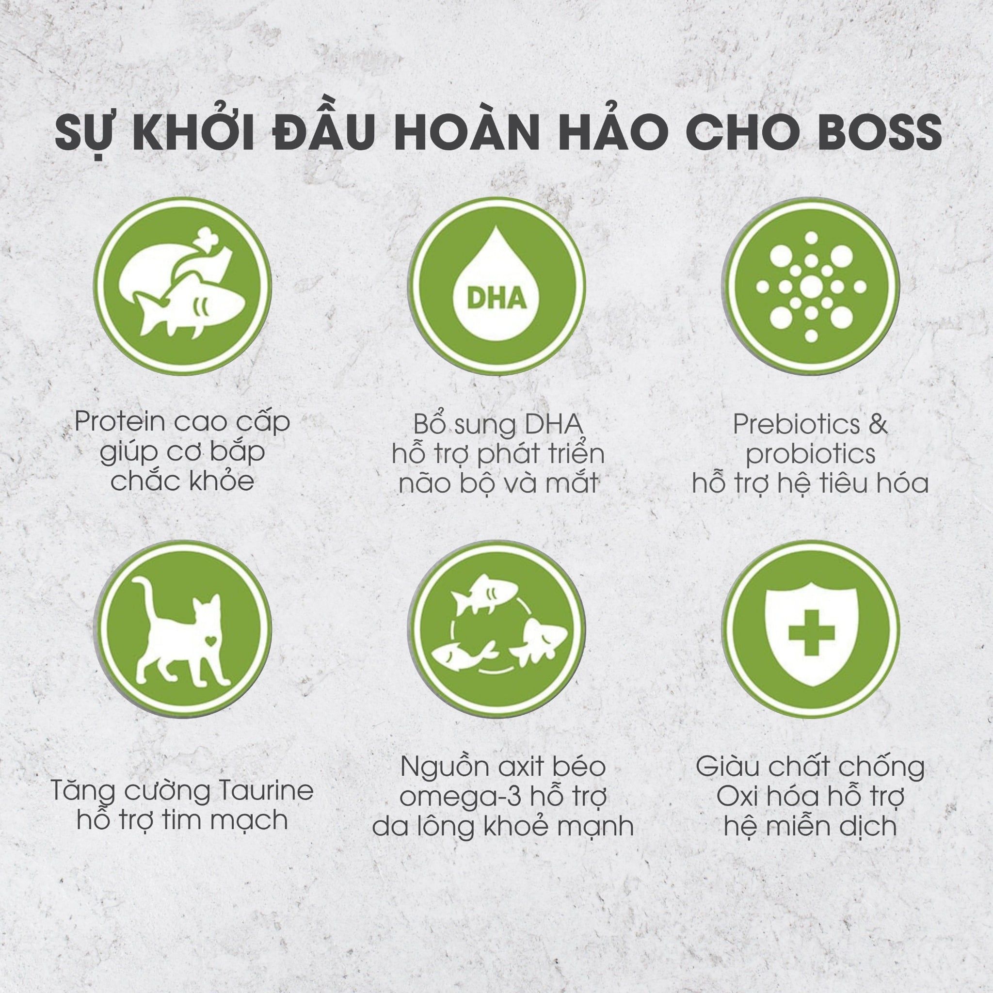  NT Infusion cho Mèo con - Thịt gà và rau củ quả tự nhiên (Dưới 12 tháng tuổi) 