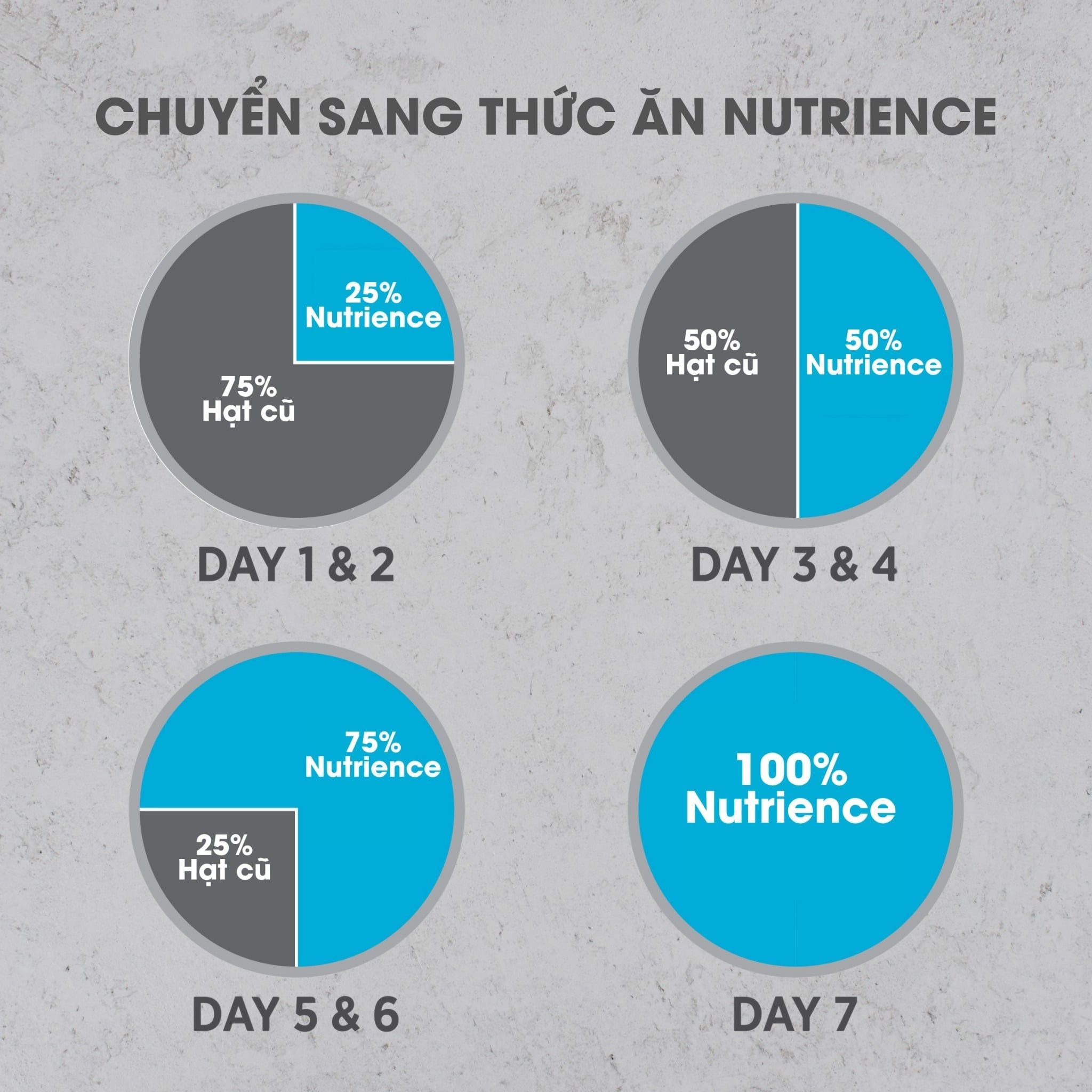  NT Infusion cho Mèo trưởng thành - Cá biển và rau củ quả tự nhiên 