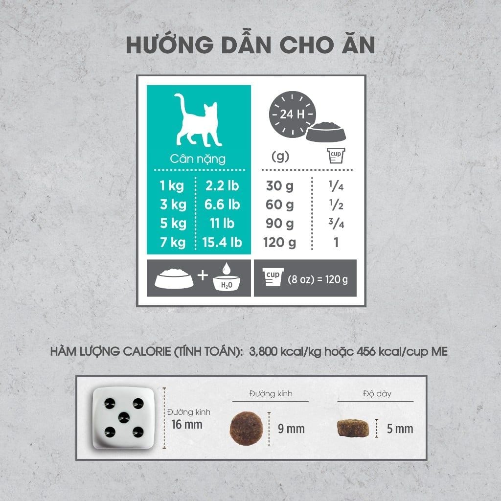  NT Infusion cho Mèo trưởng thành - Thịt gà và rau củ quả tự nhiên 