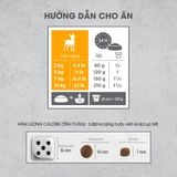  NT Infusion cho Chó kích thước nhỏ trưởng thành - Thịt gà và rau củ quả tự nhiên 