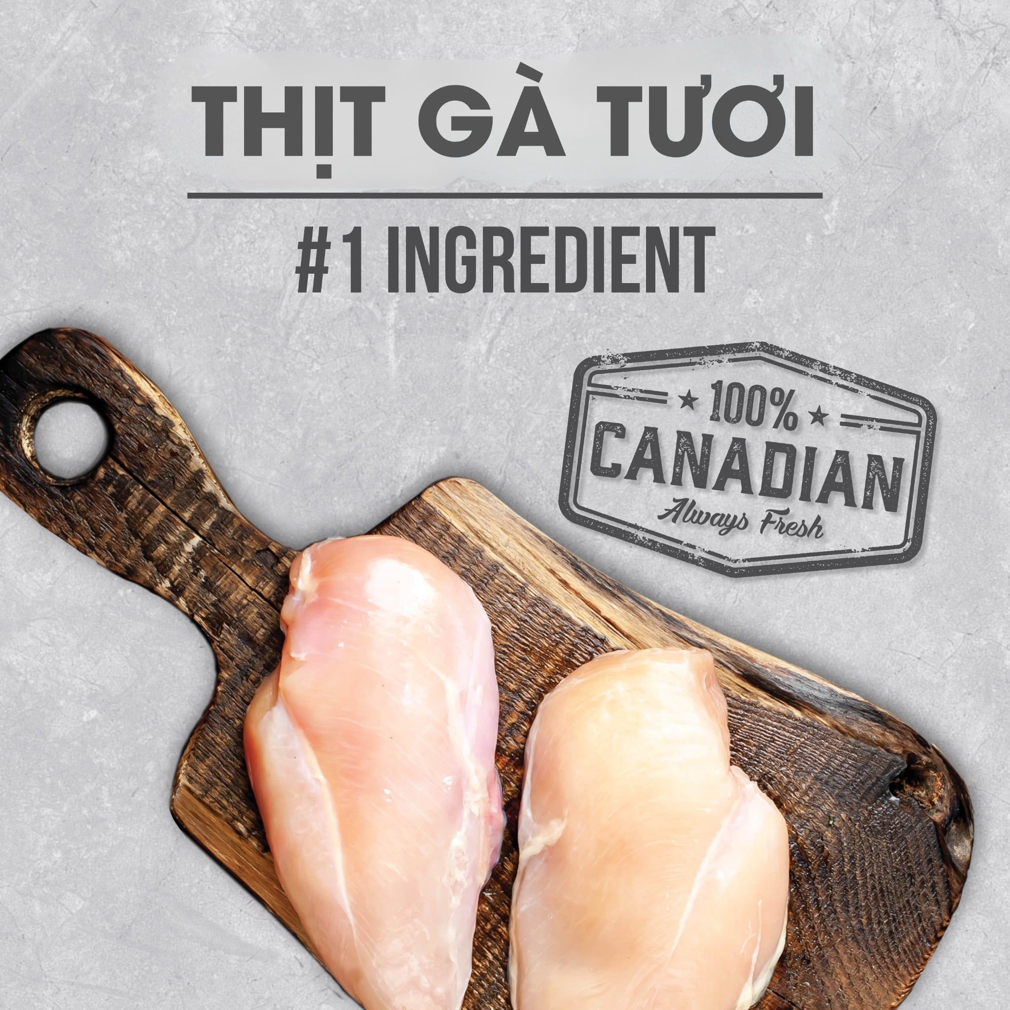  NT Infusion cho Mèo trưởng thành - Thịt gà và rau củ quả tự nhiên 