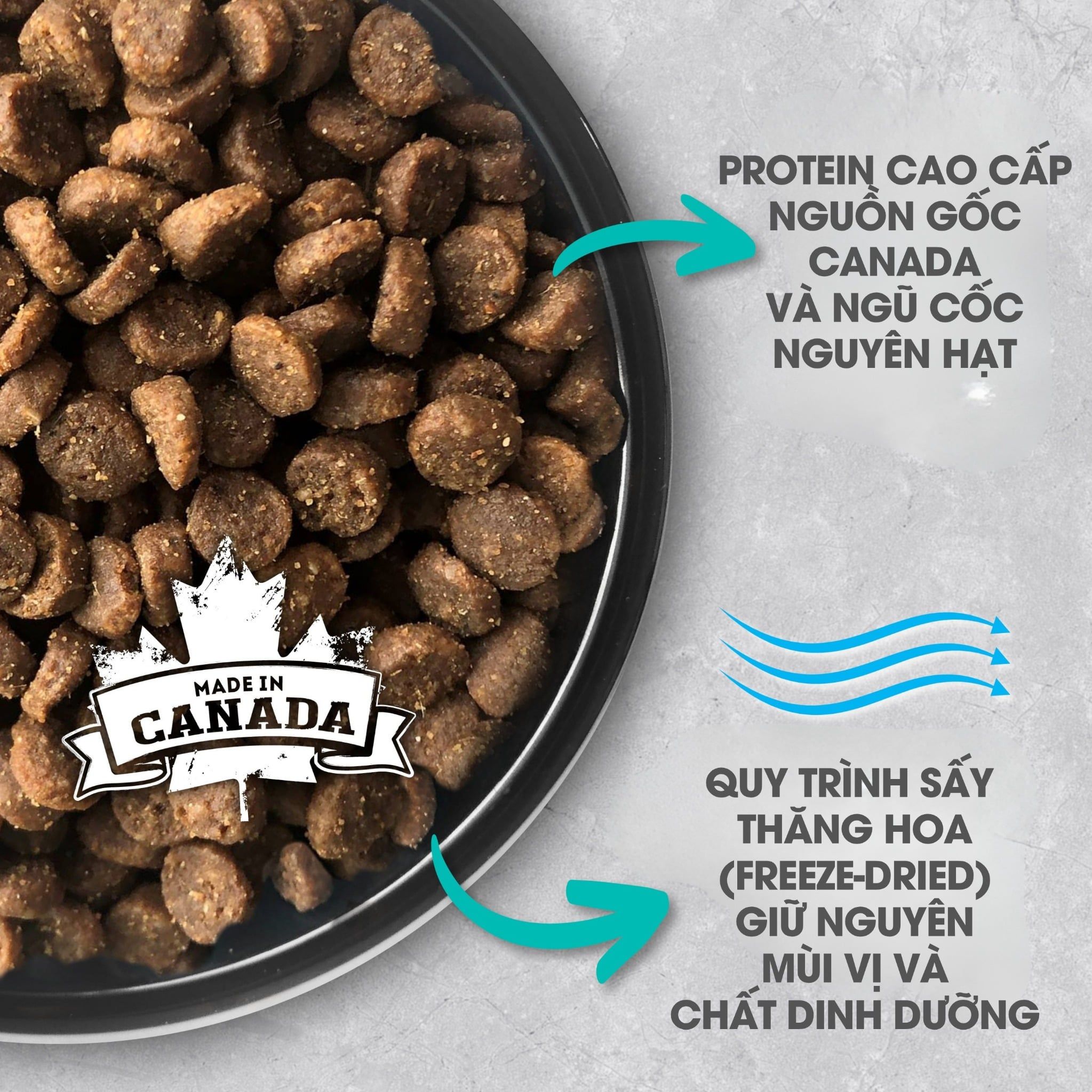  NT Infusion cho Mèo trưởng thành - Thịt gà và rau củ quả tự nhiên 