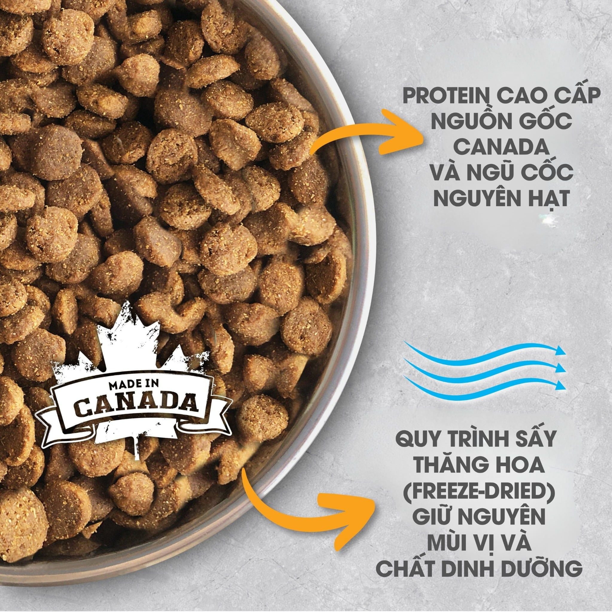 NT Infusion cho Chó kích thước nhỏ trưởng thành - Thịt gà và rau củ quả tự nhiên 