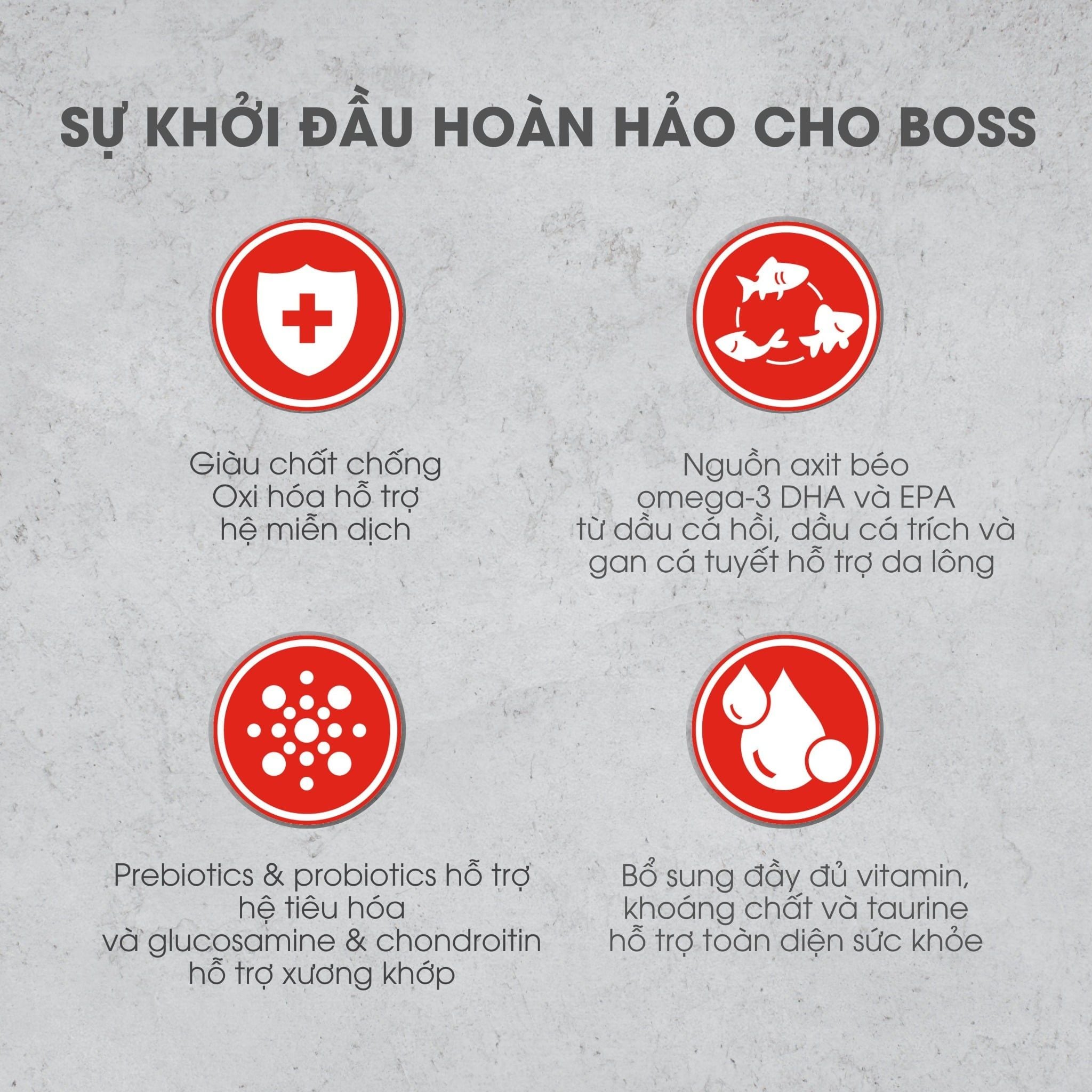  NT Infusion cho Chó kích thước vừa và lớn trưởng thành (Trên 10kg) - Thịt bò và rau củ quả tự nhiên 