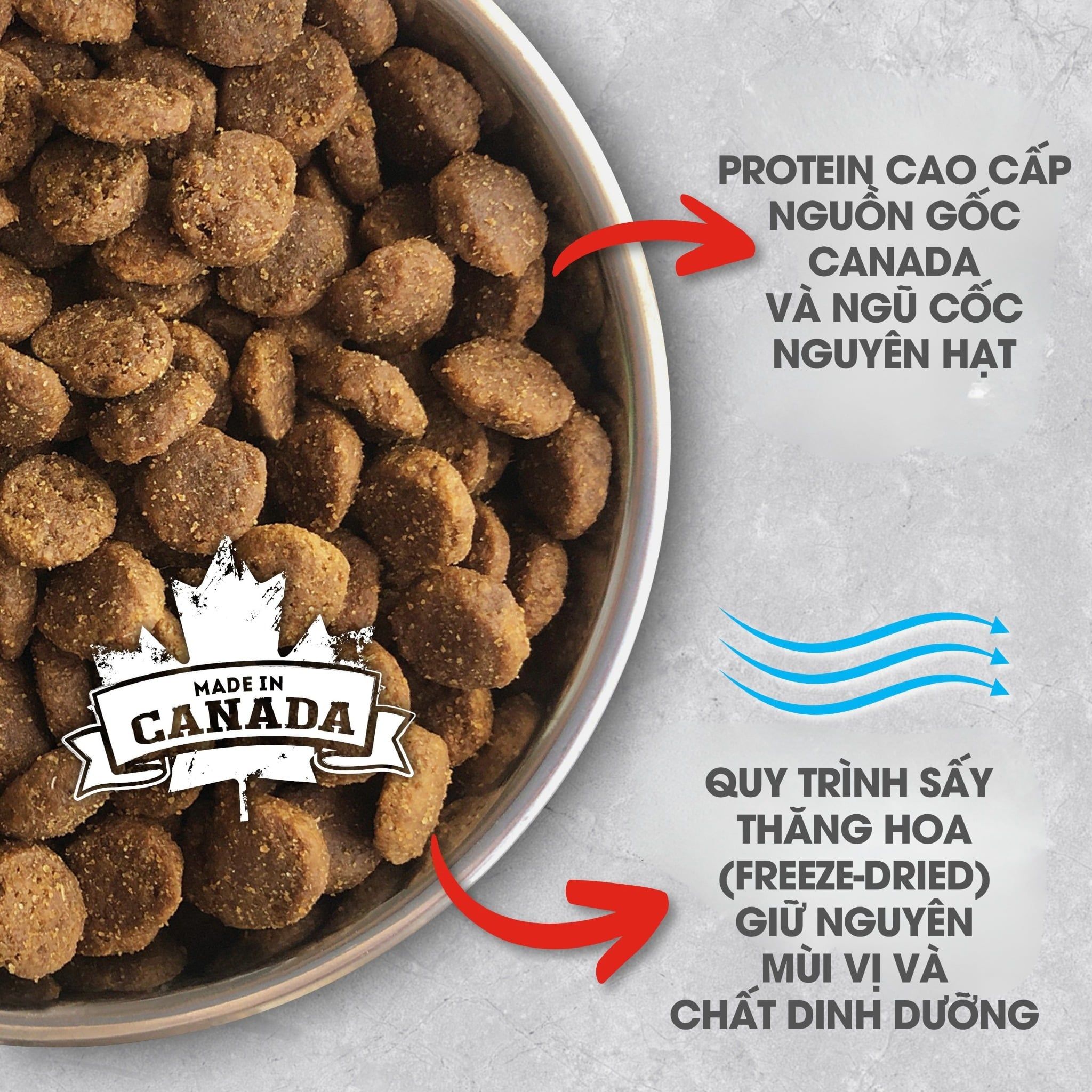  NT Infusion cho Chó kích thước vừa và lớn trưởng thành (Trên 10kg) - Thịt bò và rau củ quả tự nhiên 