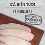  NT Infusion cho Mèo trưởng thành - Cá biển và rau củ quả tự nhiên 