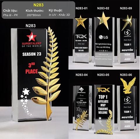 Bộ cúp vinh danh quản lý xuất sắc N283