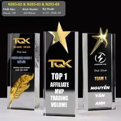 Bộ cúp vinh danh quản lý xuất sắc N283