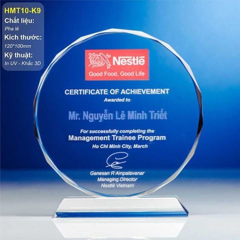 Kỷ niệm chương HMT10 (2 loại)