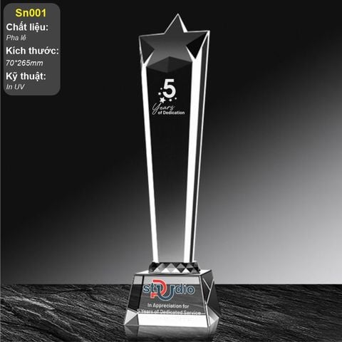 Cúp vinh danh ngôi sao best seller SN001