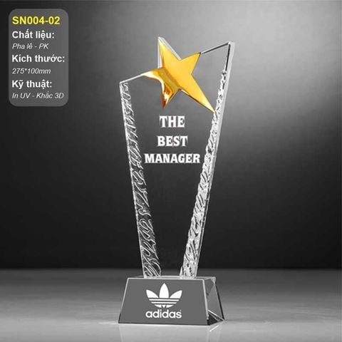Cúp vinh danh quản lý xuất sắc SN004