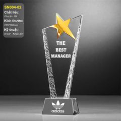 Cúp vinh danh quản lý xuất sắc SN004
