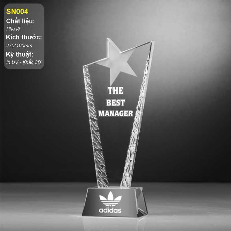 Cúp vinh danh quản lý xuất sắc SN004