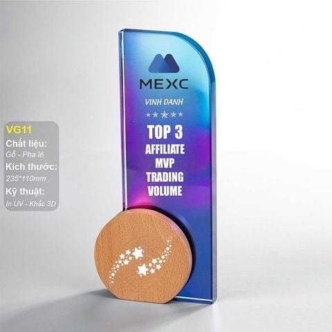 Cúp vinh danh pha lê gỗ VG11