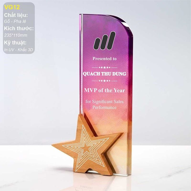 Cúp vinh danh pha lê gỗ VG12