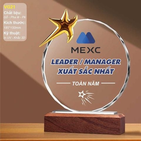 Kỷ niệm chương gỗ pha lê kim loại VG21