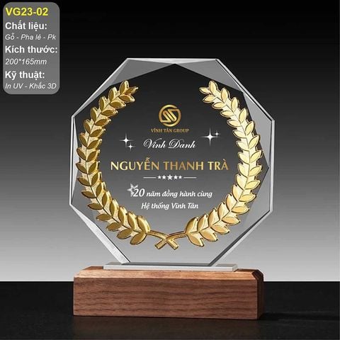 Kỷ niệm chương gỗ pha lê kim loại VG23