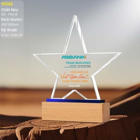 Kỷ niệm chương pha lê kết hợp gỗ VG42