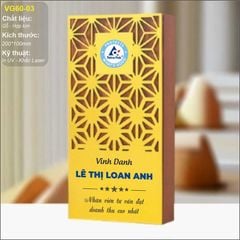 Bộ Cúp vinh danh gỗ hợp kim VG60 (14 mẫu)