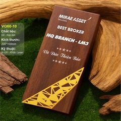 Bộ Cúp vinh danh gỗ hợp kim VG60 (14 mẫu)