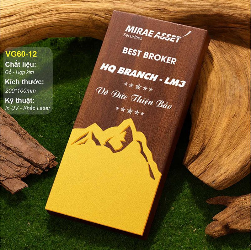 Bộ Cúp vinh danh gỗ hợp kim VG60 (14 mẫu)