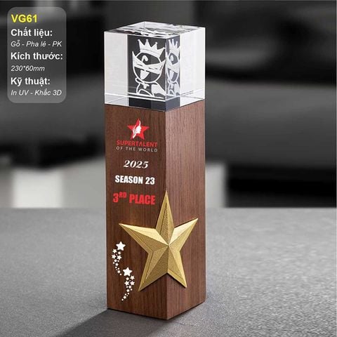 Cúp vinh danh gỗ pha lê kim loại VG61