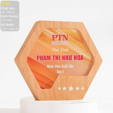 Kỷ niệm chương gỗ pha lê VG63