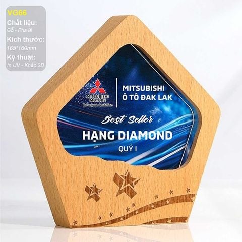 Kỷ niệm chương gỗ pha lê VG66