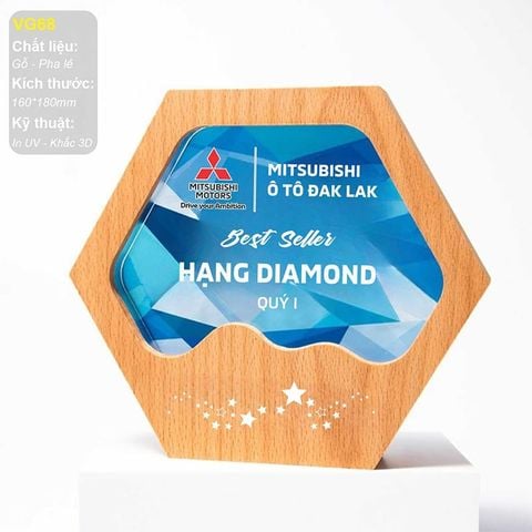 Kỷ niệm chương gỗ pha lê VG68