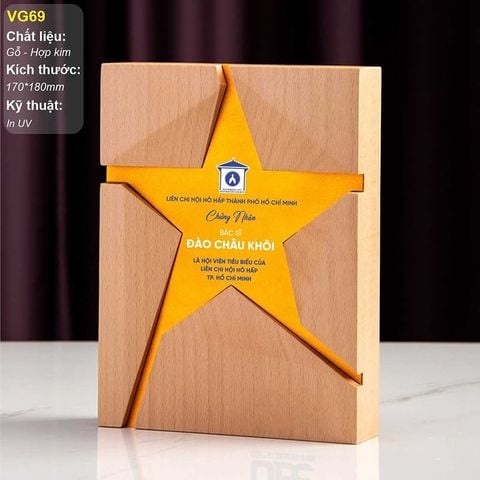 Kỷ niệm chương gỗ pha lê VG69