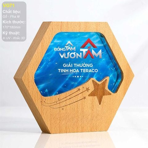 Kỷ niệm chương gỗ pha lê VG71