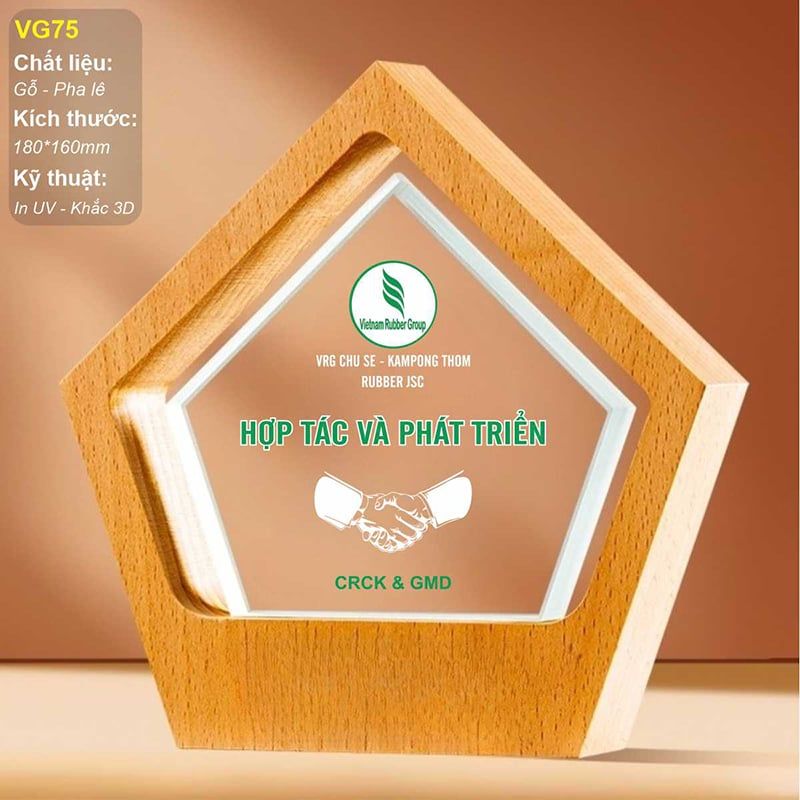 Kỷ niệm chương gỗ pha lê VG75