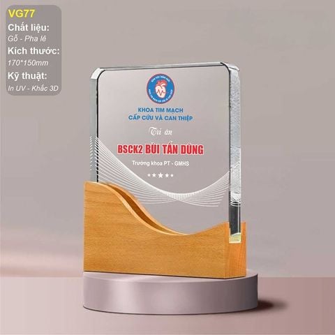 Kỷ niệm chương gỗ pha lê VG77 (2 size)