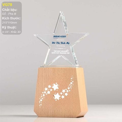 Cúp vinh danh pha lê đế gỗ VG78