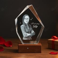 Chân dung 3d khối pha lê hình đa giác 3D-DG