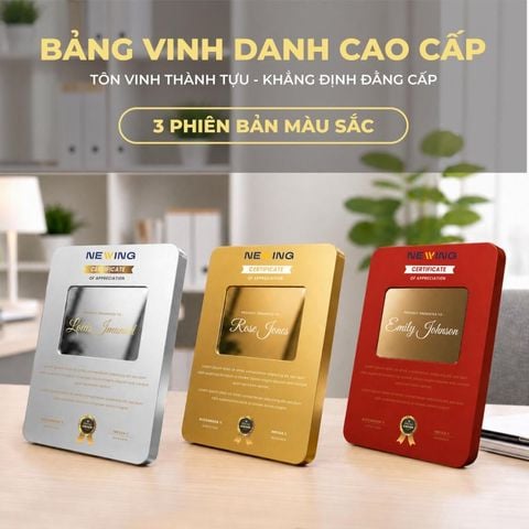 Bảng vinh danh xuất sắc BVD-001 (2 loại)