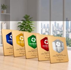 Bảng vinh danh xuất sắc BVD-007 (2 màu)